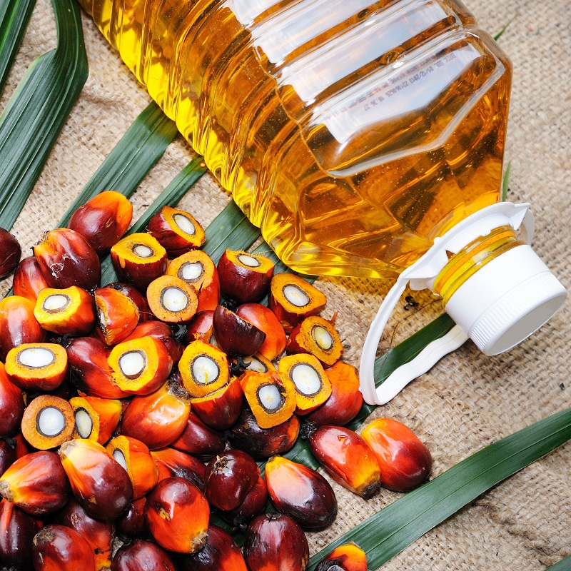palm oil products and vegetable cooking oil supplier from malaysia and indonesia